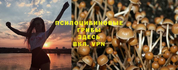 PSILOCYBIN Слюдянка