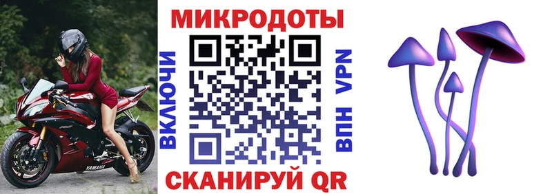 Галлюциногенные грибы Cubensis  как найти закладки  Елабуга 