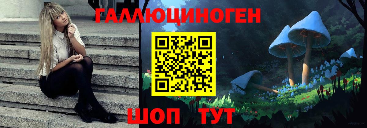 Псилоцибиновые грибы Cubensis Елабуга