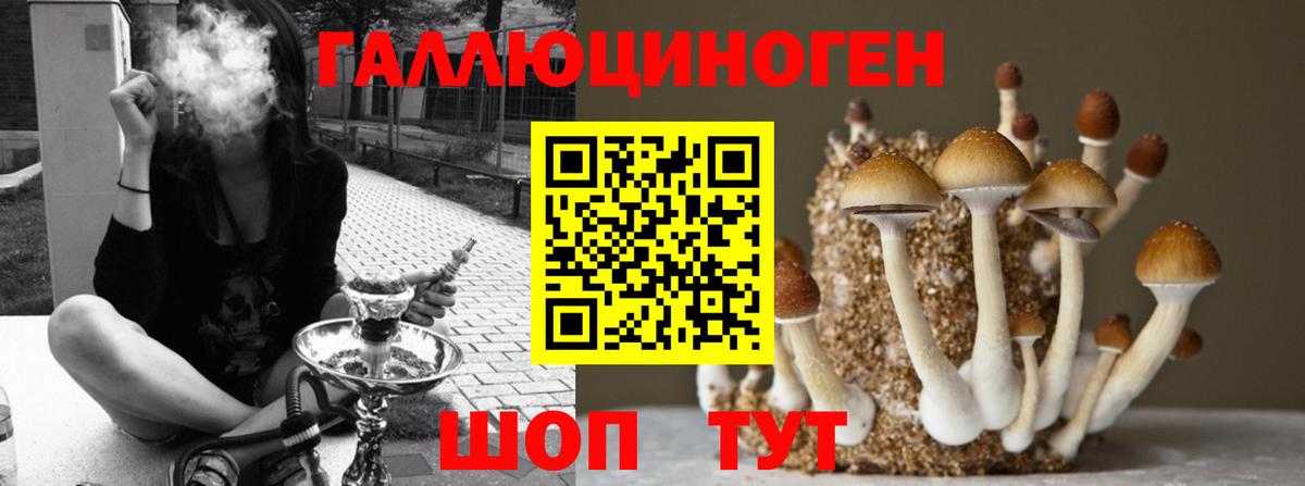 Псилоцибиновые грибы MAGIC MUSHROOMS  Вход с VPN  Псилоцибиновые грибы GOLDEN TEACHER  Елабуга 